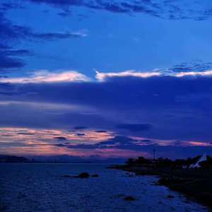 一区二区免费伦理片
