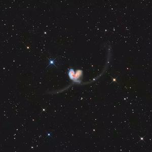 一区二区免费伦理片
